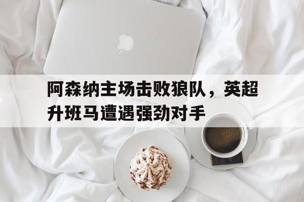 IM电竞最新app-阿森纳英超战绩